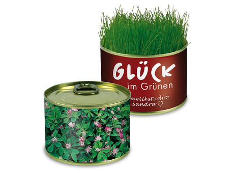 Natur-Konserve mit Samen - Persischer Klee