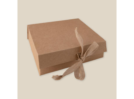 CAJA STEPO