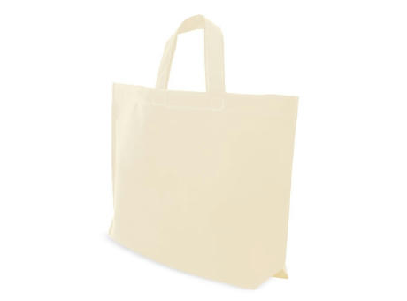 BOLSA NON WOVEN 