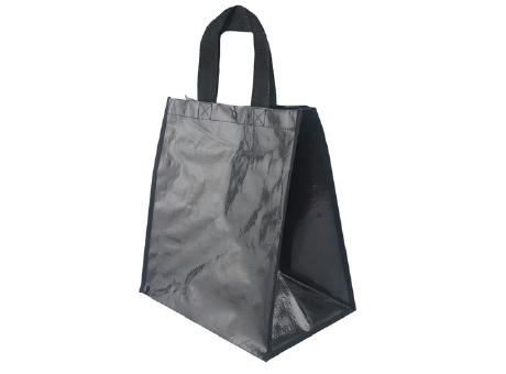 BOLSA BRILLO 