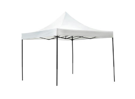 ESTRUCTURA CARPA 3X3 M 