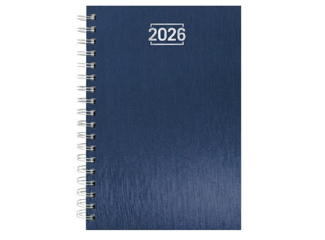 AGENDA ANILLA METALIZADA 