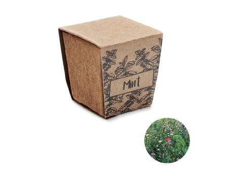 Kit cultivo semillas de menta