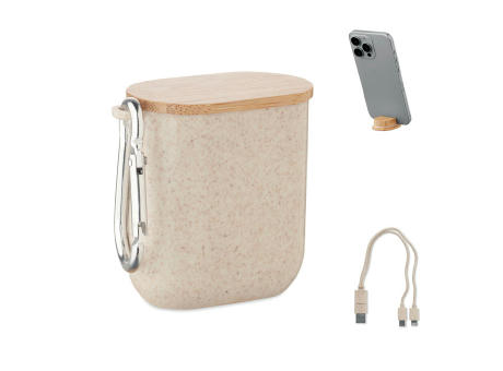 Set de cables en estuche