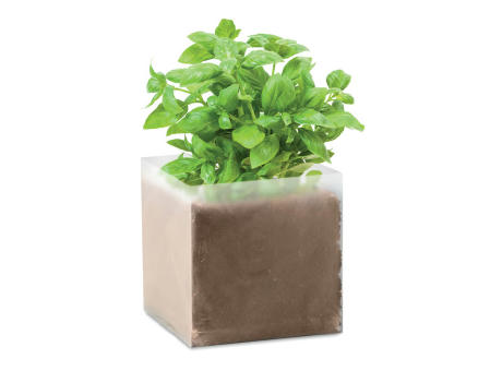 Bolsa de semillas de albahaca
