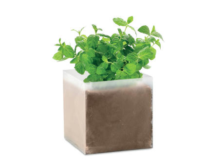 Bolsa semillas de menta