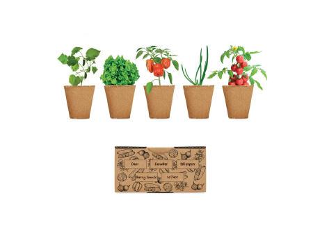 Kit de cultivo de verduras