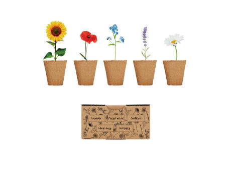 Kit de cultivo de flores