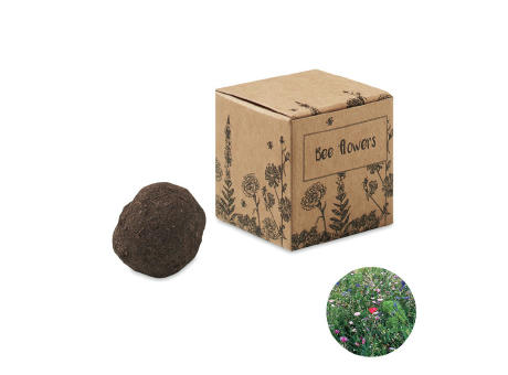 Kit semillas flores de abeja