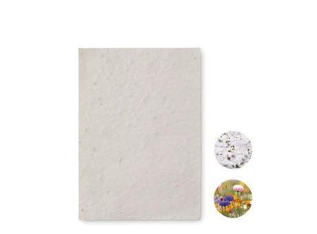 Hoja A6 de papel con semillas