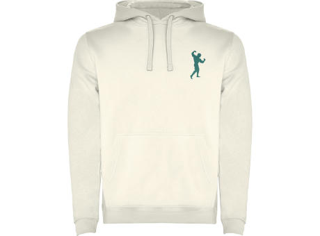 Sudadera con capucha para hombre de 280 g/m² Urban
