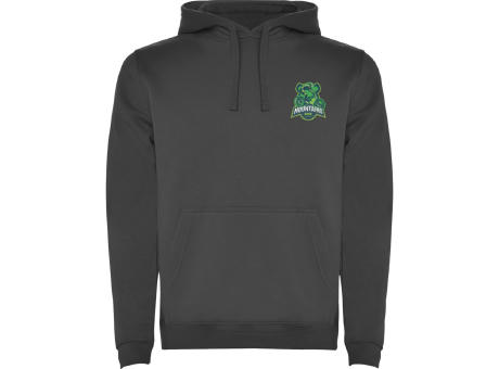 Sudadera con capucha para hombre de 280 g/m² Urban