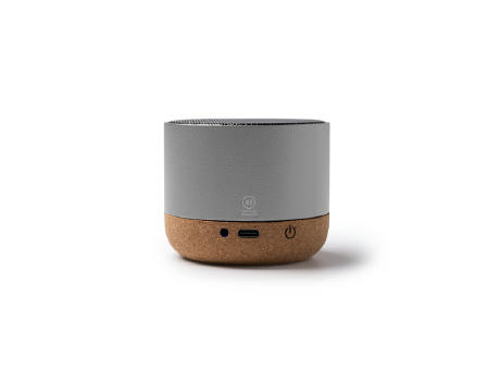 ALTAVOZ VOXEL PLATA