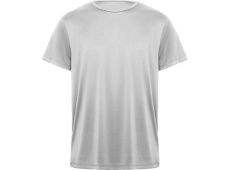 CAMISETA DAYTONA T/16 GRIS
