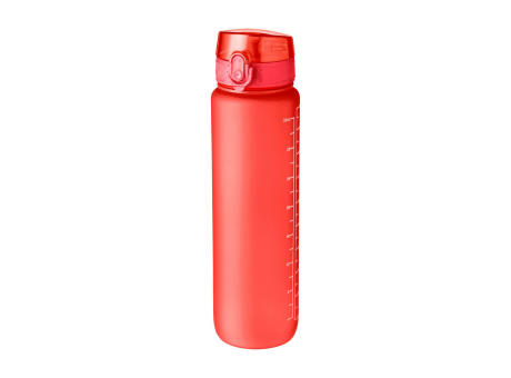 Trinkflasche Brinley | 1 l