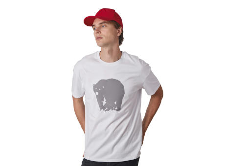 Gorra 6 paneles