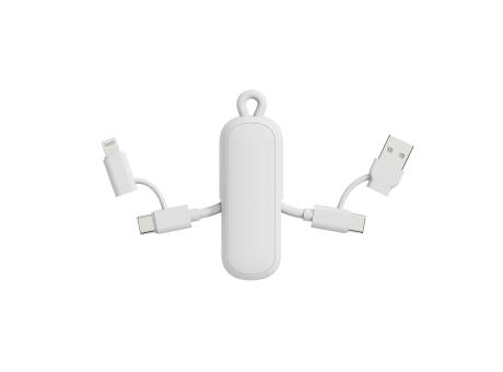 Urban Vitamin Dublin 100W 4-in-1-Kabel am Schlüsselanhänger