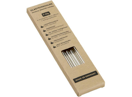 Nestler-matho ECO Glas-Trinkhalm Set N-m 589