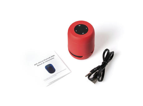 Altavoz Braiss