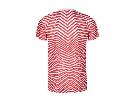 Camiseta Adulto Tingyi