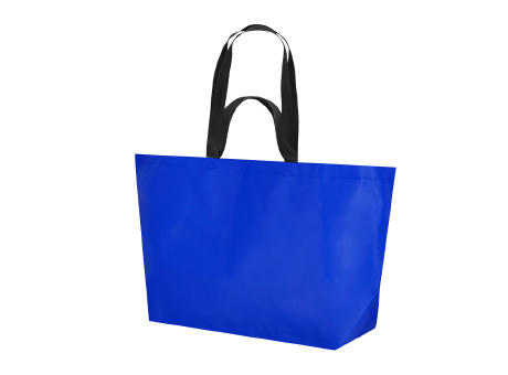 Bolsa Torvik
