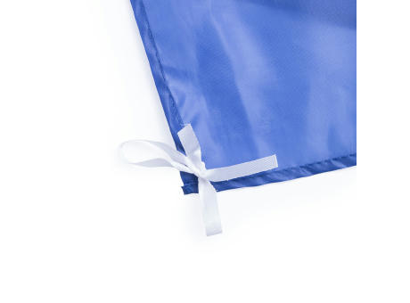 Bandera Dambor
