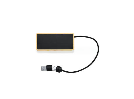 Puerto USB Ginger