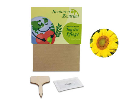 Pflanz-Set - 3er-Set - Sonnenblume / Margerite / Ringelblume