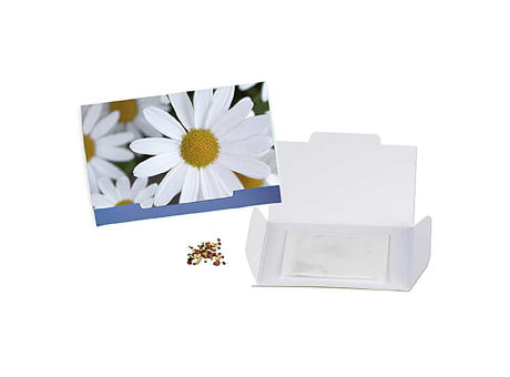 Flower-Card mit Samen - Margerite