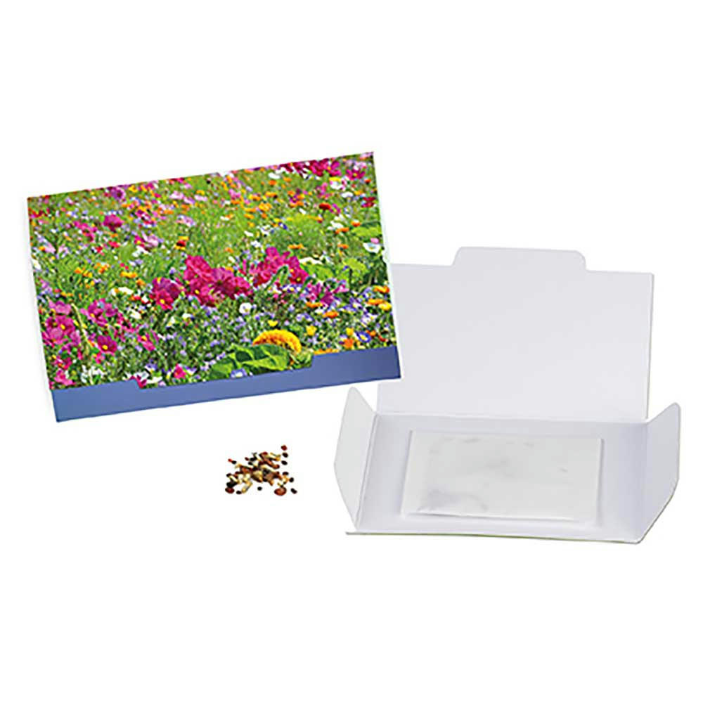 Flower-Card mit Samen - Sommerblumenmischung