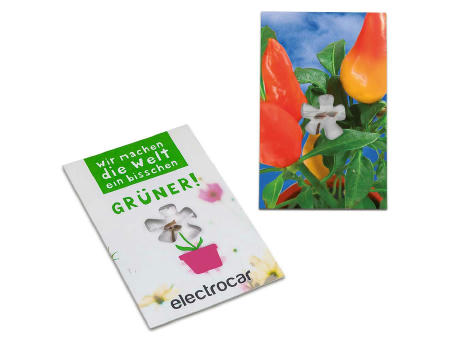 Samen-Karte-Mini Blume - Gewürzpaprika