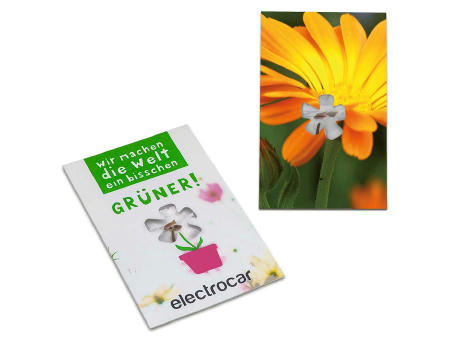 Samen-Karte-Mini Blume - Ringelblume