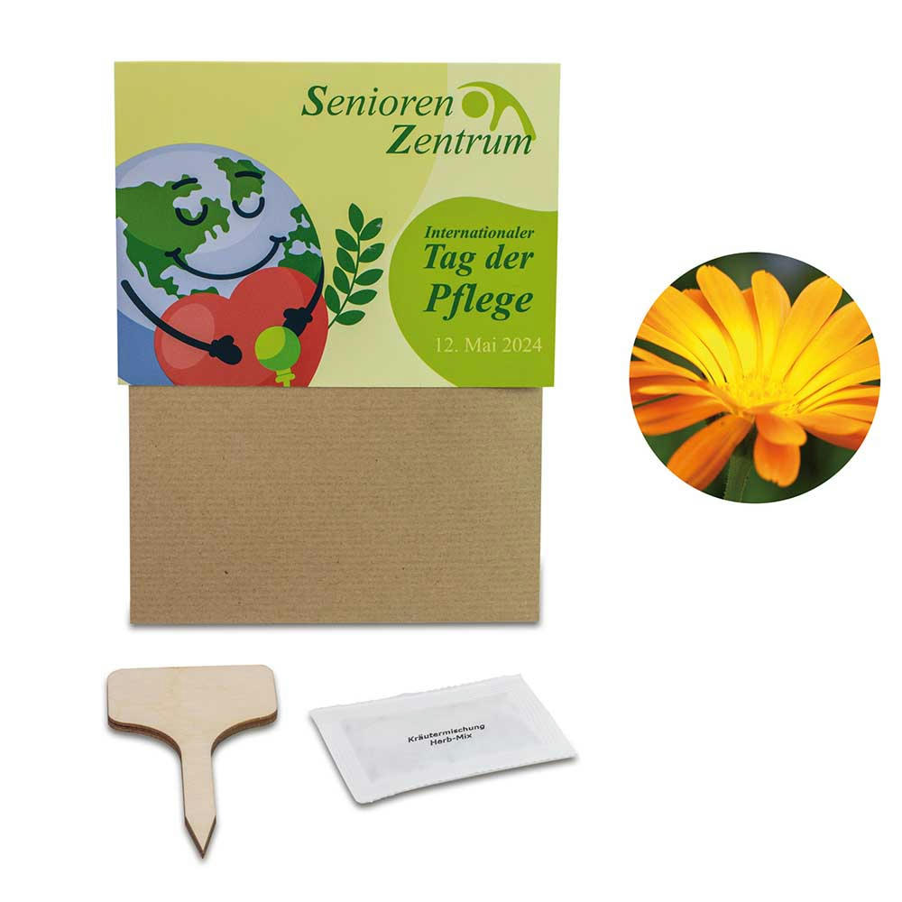 Pflanz-Set - 3er-Set - Ringelblume / Vergissmeinnicht / Sonnenblume