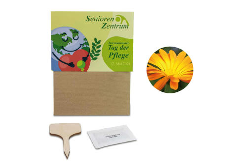 Pflanz-Set - 3er-Set - Ringelblume / Vergissmeinnicht / Sonnenblume