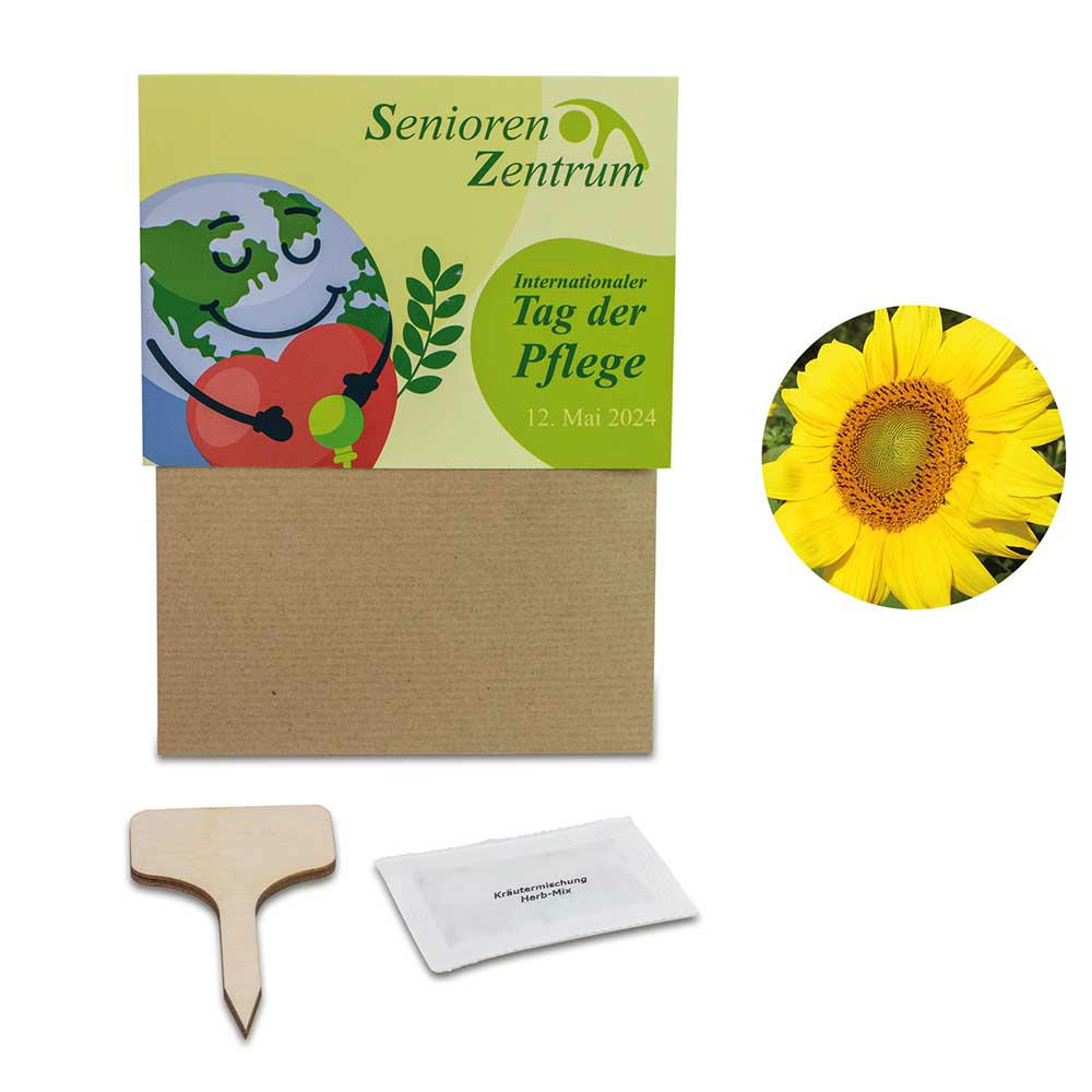 Pflanz-Set - 3er-Set - Sonnenblume / Margerite / Ringelblume