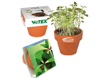 Logo-Töpfchen Banderole mit Samen - Glücksklee-Zwiebeln (* Je nach Verfügbarkeit der Glücksklee-Zwiebeln)