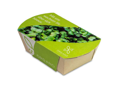 Microgreens-Gärtchen - Kresse