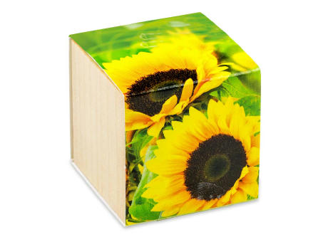 Pflanz-Holz - Standardmotiv - Sonnenblume - ohne Lasergravur