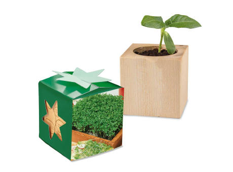 Pflanz-Holz Star-Box mit Samen - Gartenkresse, 2 Seiten gelasert