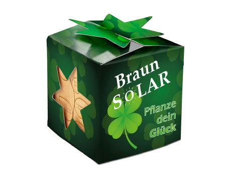 Pflanz-Holz Star-Box mit Samen - Glücksklee-Zwiebel (* Je nach Verfügbarkeit der Glücksklee-Zwiebeln)