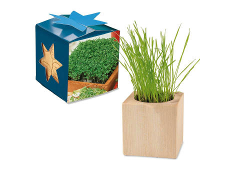 Pflanz-Holz Maxi Star-Box mit Samen - Gartenkresse, 1 Seite gelasert