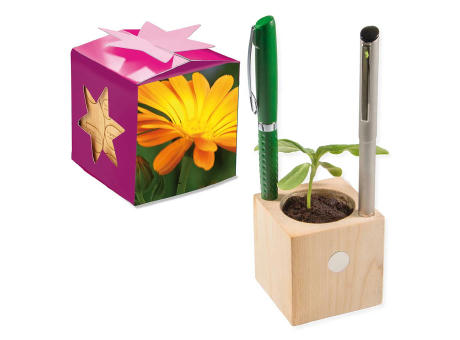 Pflanz-Holz Büro Star-Box mit Samen - Ringelblume, 1 Seite gelasert