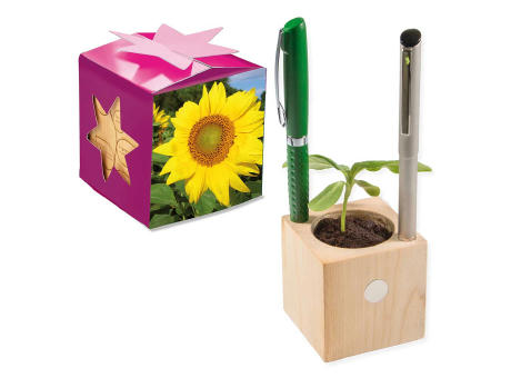 Pflanz-Holz Büro Star-Box mit Samen - Sonnenblume, 2 Seiten gelasert