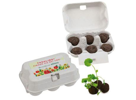 Sixpack - Flower-Balls Midi mit Samen mit Samen