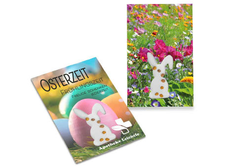 Samen-Karte-Mini Ostern - Sommerblumenmischung