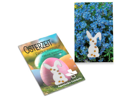 Samen-Karte-Mini Ostern - Vergissmeinnicht