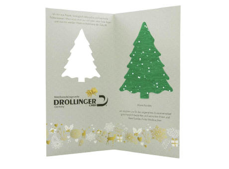 Samenpapier-Karte Fichte - Fichte - Graspapier 4/4-c