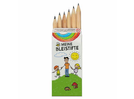 Bleistiftbox - Standard mit 2-c Logoeindruck
