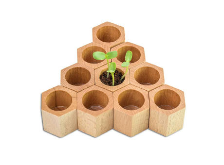 Pflanz-Holz Hexagon mit Samen - Glücksklee-Zwiebel (* Je nach Verfügbarkeit der Glücksklee-Zwiebeln)