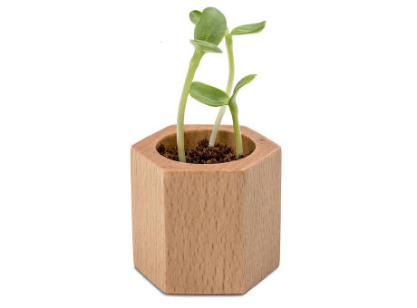 Pflanz-Holz Hexagon mit Samen - Glücksklee-Zwiebel (* Je nach Verfügbarkeit der Glücksklee-Zwiebeln)